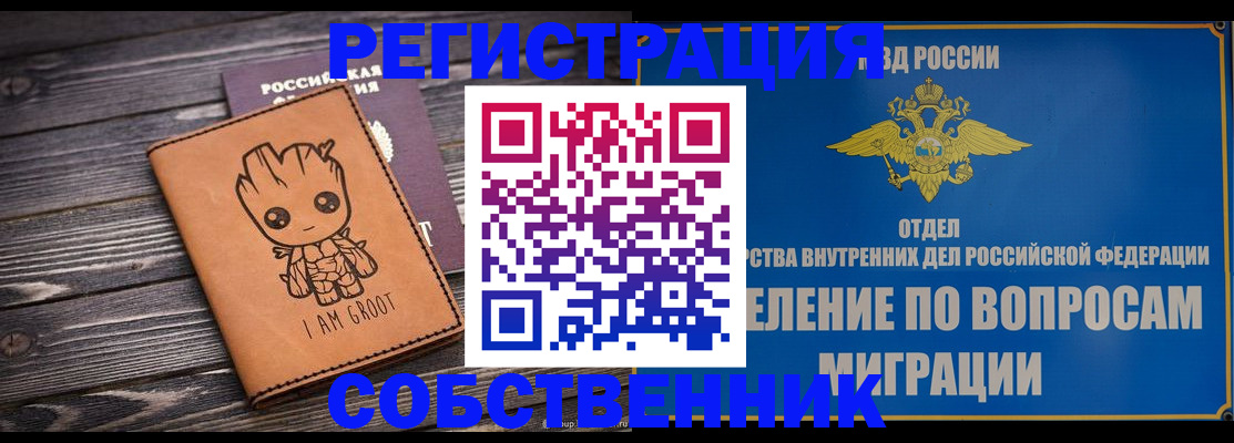 найти адрес прописки в Коле